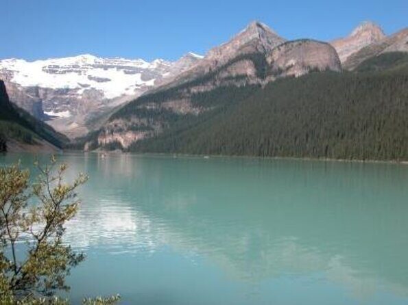Banff Winter Day Tour: Lake Louise Ski Resort & Abraham Lake - Key things to know before you go